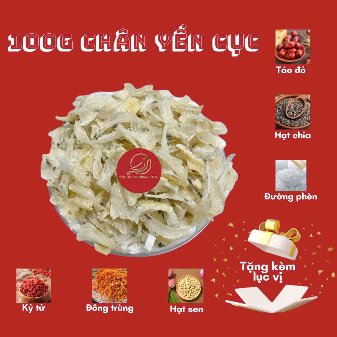 Chân yến cục thô